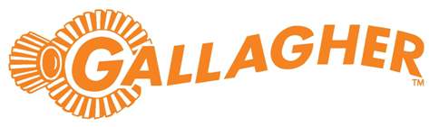 Galliger ORANGE